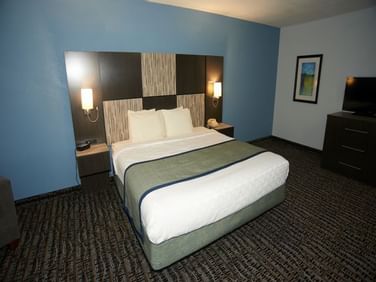 One Room Suite (1 King Bed)